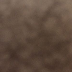 Meet your Posher, Eman